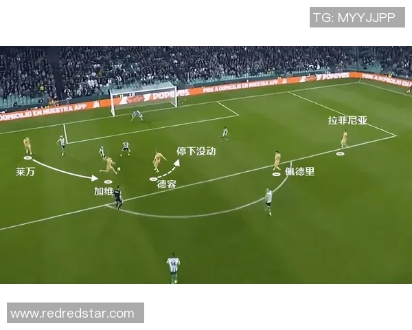 南京极限运动队力量对比深度解析与战术优势探讨