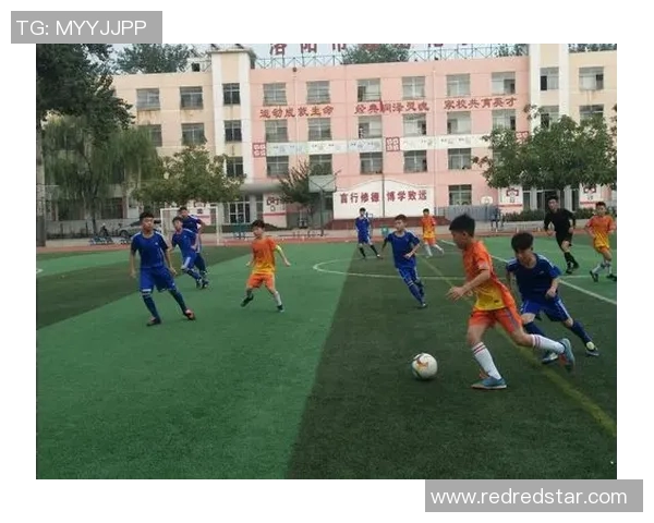 南京足球队的拼搏历程与荣耀时刻全景回顾