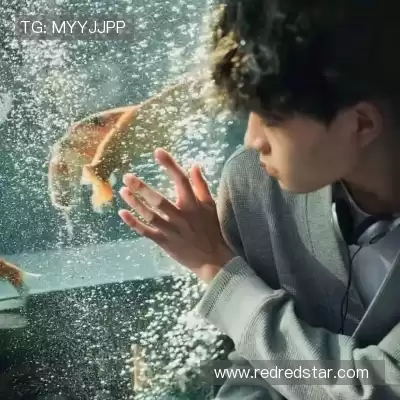 何战朗
